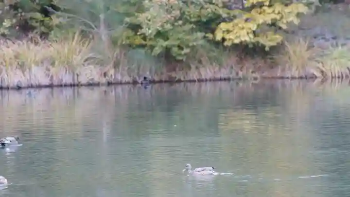 鹿苑寺(金閣寺)(京都府)