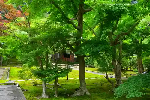 長壽寺（長寿寺）(神奈川県)
