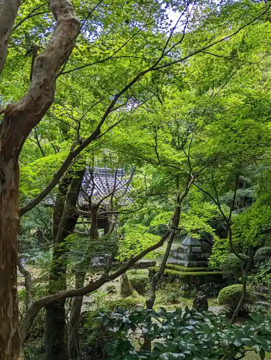 勝持寺(花の寺)(京都府)