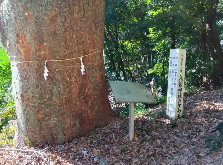 八菅神社(神奈川県)
