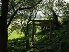 揚島天神社の鳥居