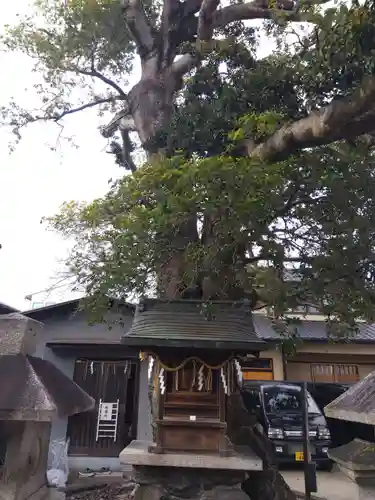 櫟谷七野神社(京都府)