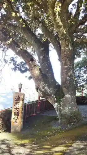 向陽寺の自然