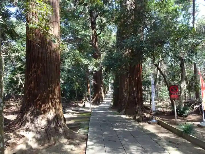 日吉神社の自然