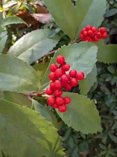 横浜　西方寺(神奈川県)