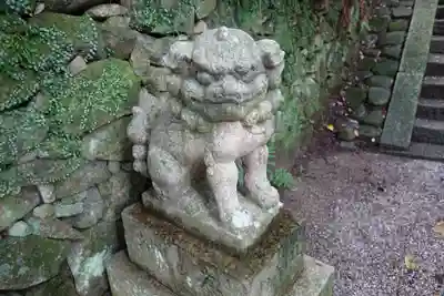 金剛寺の狛犬