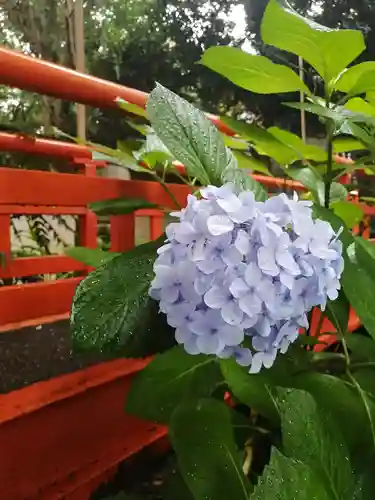 葛西神社の自然