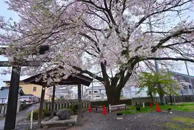 冨知神社(静岡県)