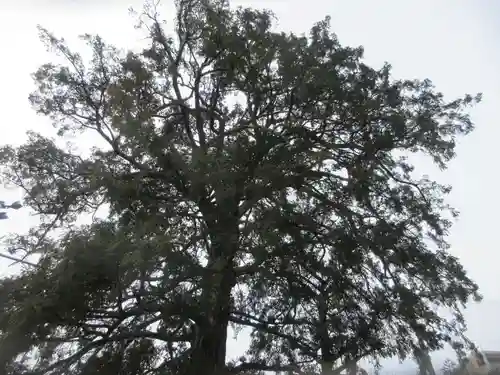 下神明天祖神社(東京都)