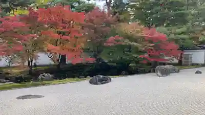 相国寺（相国承天禅寺）(京都府)