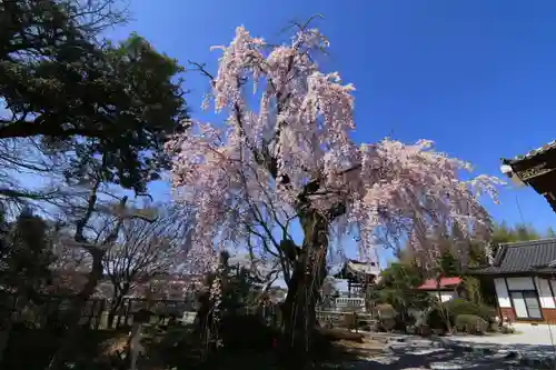 円通寺の庭園