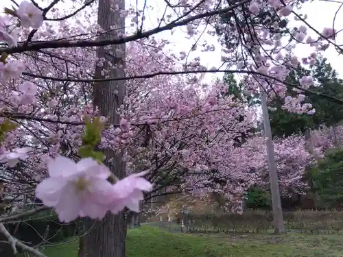 霊泉寺(福井県)