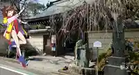 妙厳寺の山門・神門