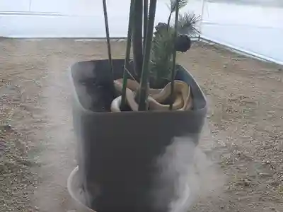 岩国白蛇神社の動物