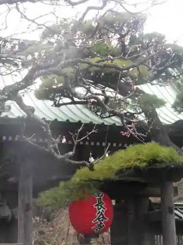 長谷寺の山門・神門