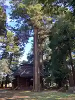 香取神社(茨城県)