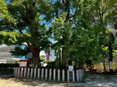 久留米宗社　日吉神社(福岡県)