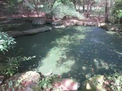 八王寺(埼玉県)