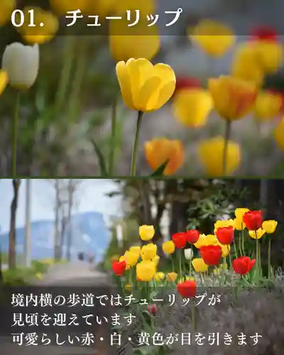 宝光寺(北海道)