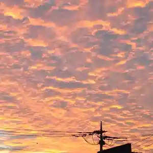 元郷氷川神社の景色(2020年11月06日(金) 16時55分37秒投稿)