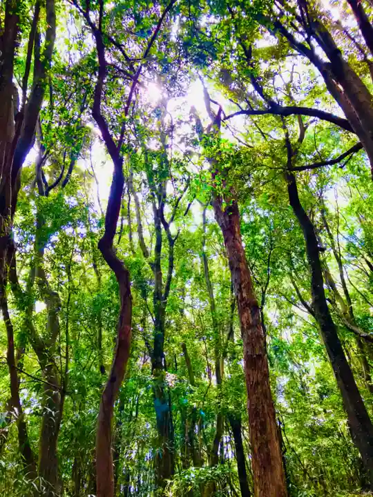 天白稲荷大明神(茨城県)