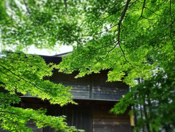 滑川神社 - 仕事と子どもの守り神の自然