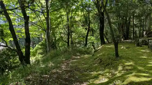 末廣神社の自然