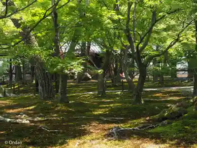 東福禅寺(東福寺)(京都府)