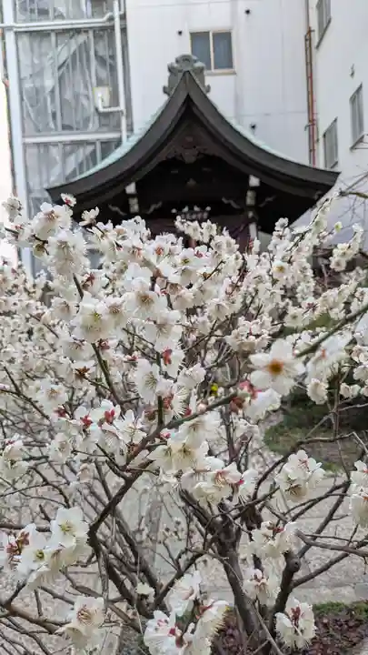 持明院(大阪府)