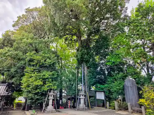 牟礼神明社(東京都)