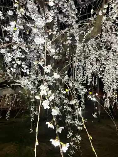 八幡社の{uncategorized: "未分類", other: "その他", undefined: "問題あり", building: "その他建物", grave: "お墓", sacred_gate: "鳥居", guardian: "狛犬", statue: "像", buddha: "仏像", history: "歴史", nature: "自然", garden: "庭園", animal: "動物", pagoda: "塔", temizu: "手水舎", mountain_gate: "山門・神門", sanctuary: "本殿・本堂", subordinate: "末社・摂社", art: "芸術", scenery: "景色", jizo: "地蔵", ema: "絵馬", goshuin: "御朱印", omikuji: "おみくじ", items: "授与品その他", amulet: "お守り", goshuincho: "御朱印帳", eats: "食事", festival: "お祭り", votive_dance: "神楽", shichigosan: "七五三参", wedding: "結婚式", experience: "体験その他", initially: "初詣", around: "周辺", anti_infection: "感染症対策"}