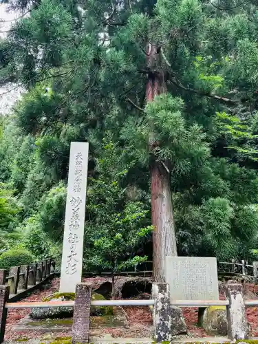 妙義神社(群馬県)