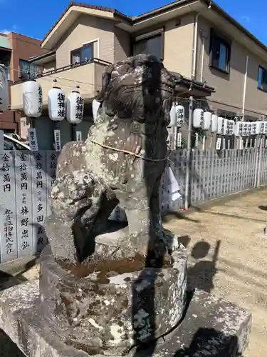 新羅神社の狛犬