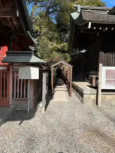川越氷川神社(埼玉県)