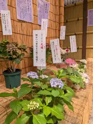 十番稲荷神社(東京都)