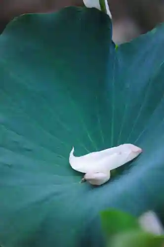 浄土寺(兵庫県)