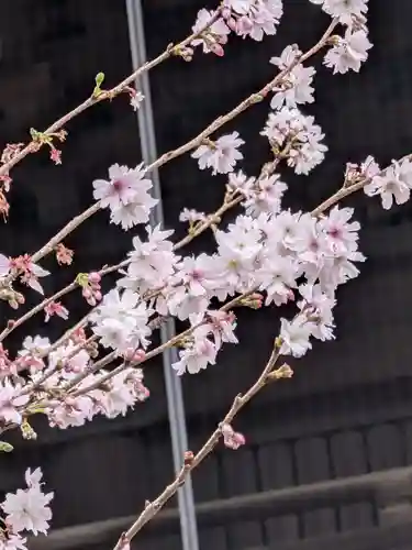 妙法寺(東京都)