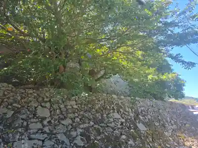 如来寺(和歌山県)