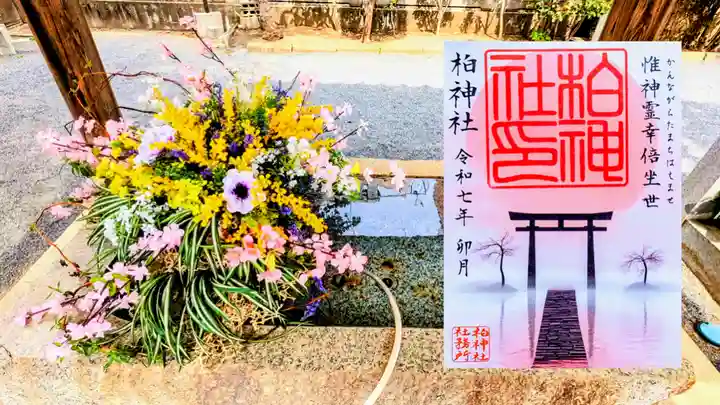 柏神社の御朱印