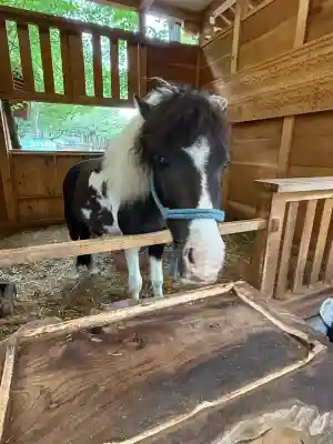 平塚八幡宮(神奈川県)
