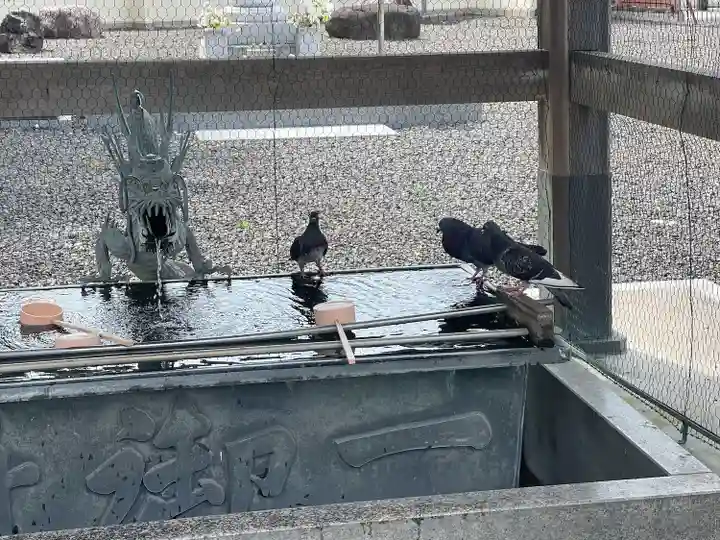 津観音(三重県)