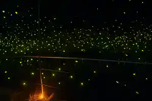 木舟山 順教寺(広島県)(2025年06月11日(水) 12時34分27秒投稿)