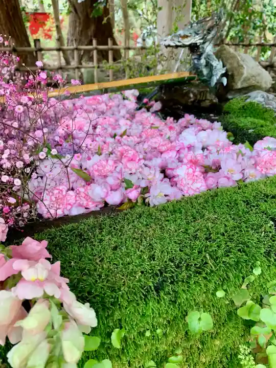 伊佐須美神社(福島県)