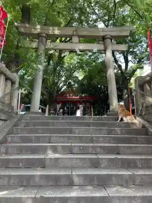 笠䅣稲荷神社(神奈川県)