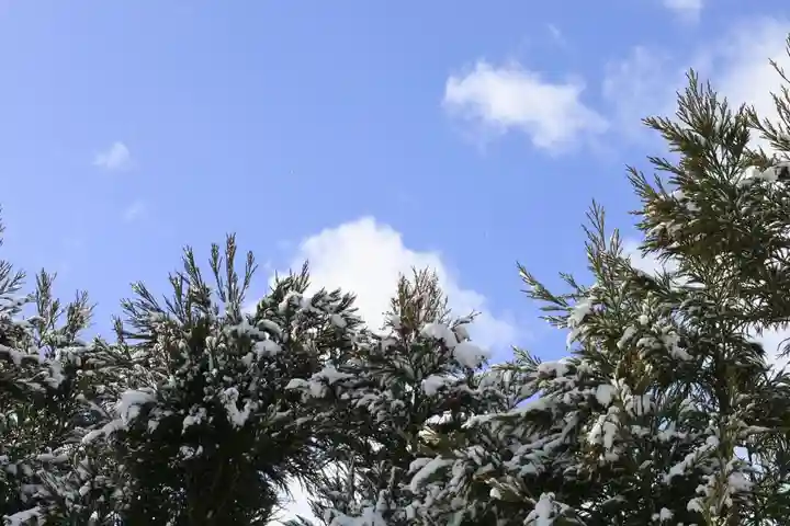 実光院(京都府)