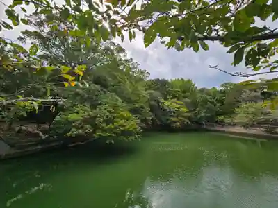 安房神社(千葉県)
