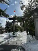 新川神社の鳥居