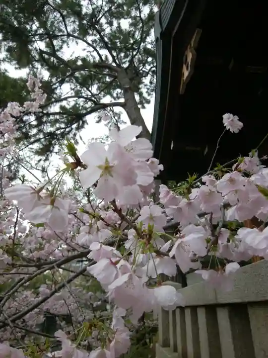 住吉大社の自然
