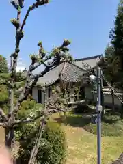 野中寺の建物その他