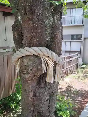 小室浅間神社(山梨県)